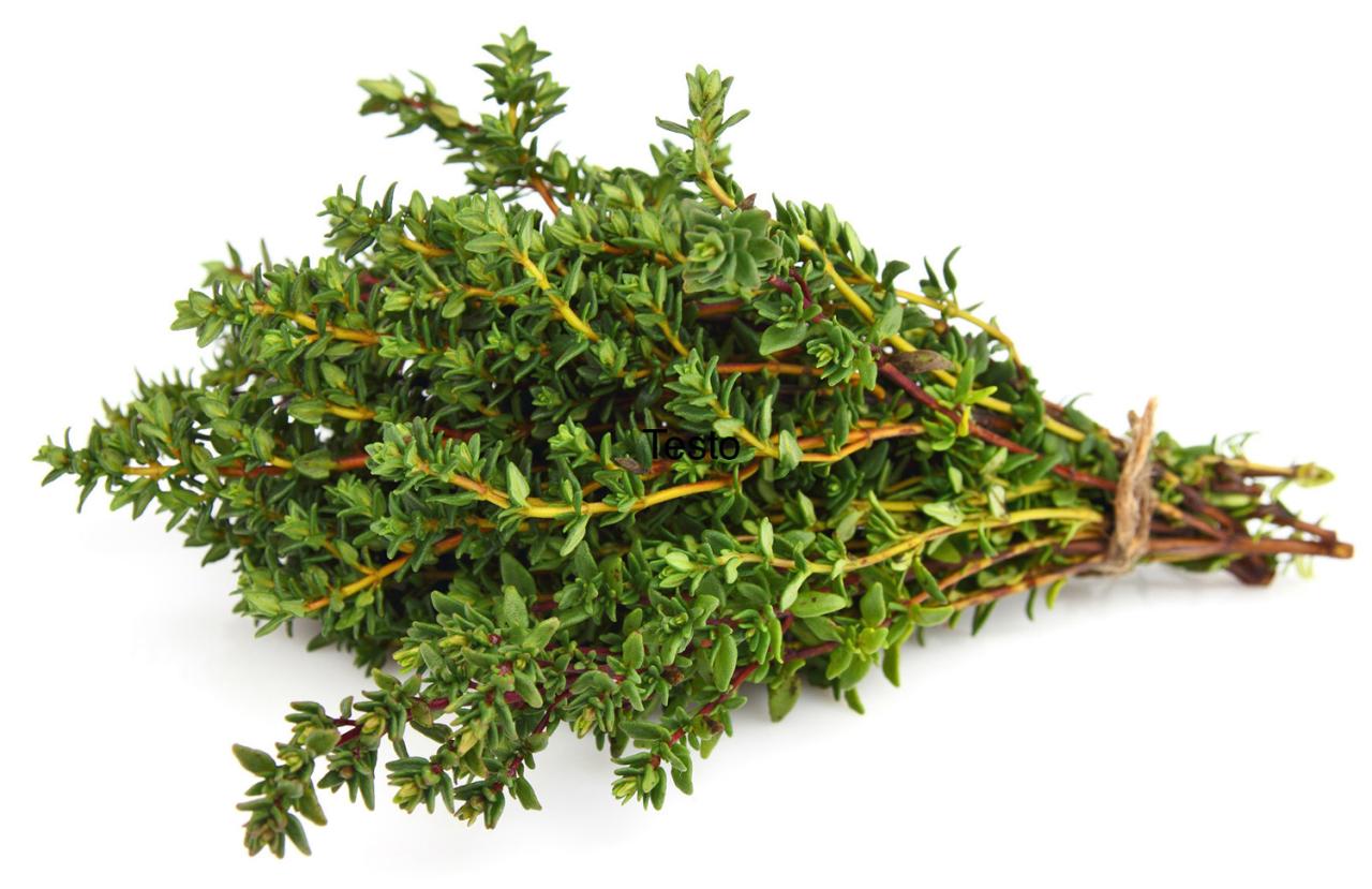 Thyme Piece: The Ultimate Herb for Culinary Excellence