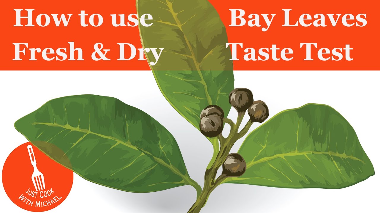 How to Substitute Bay Leaves with These Flavorful Alternatives